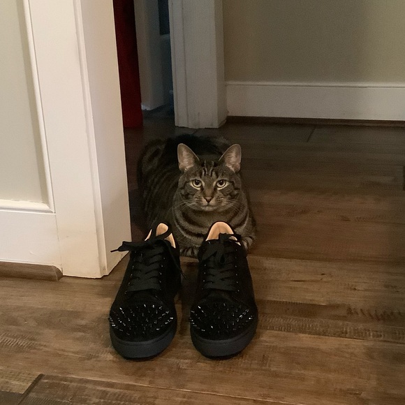 Meet your Posher, Christina - Picture 7 of 16